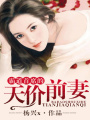 霸道總裁的天價前妻