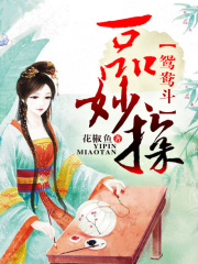 鴛鴦斗，一品妙探