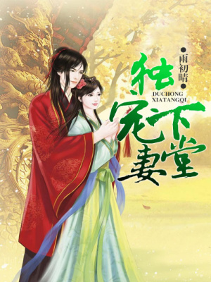 將心獨寵，下堂妻的春天