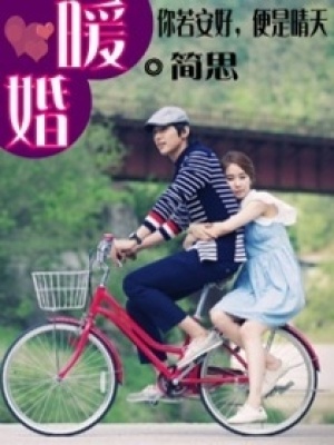 暖婚愛妻
