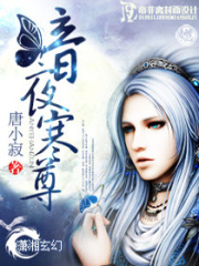 暗夜寒尊