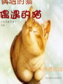 偶遇的貓