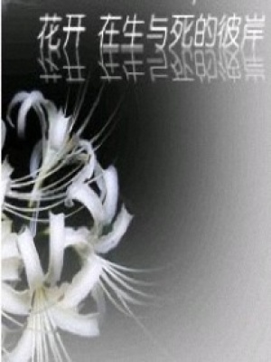 花開在生與死的彼岸