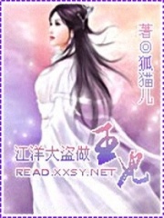 江洋大盜做王妃