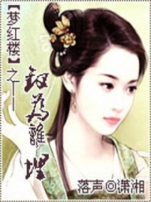 夢紅樓之金釵為誰埋