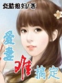 愛(ài)妻難搞定