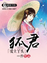 狐君愛上丫頭