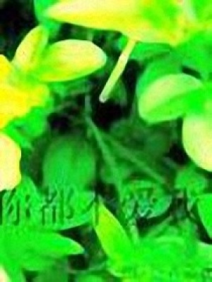 你都不愛我