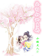 丞相如此多嬌