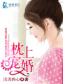 枕上寵婚