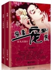 寵妻之一寵到底