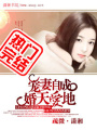 寵妻自成婚天愛地