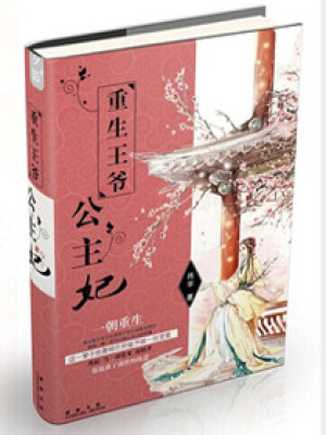 重生王爺公主妃