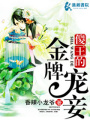 傻王的金牌愛妾