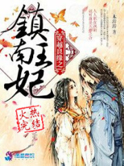 穿越良緣之鎮(zhèn)南王妃