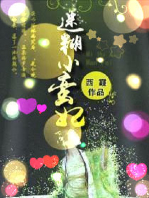 迷糊小蠻妃