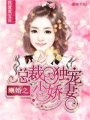 隱婚之總裁獨寵小嬌妻