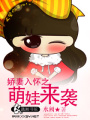 愛妻入懷之萌娃來襲
