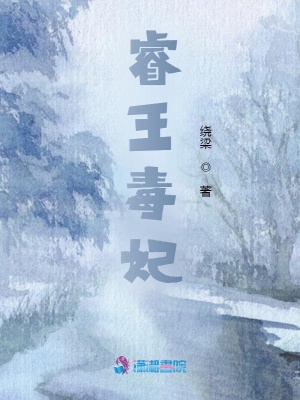 睿王毒妃