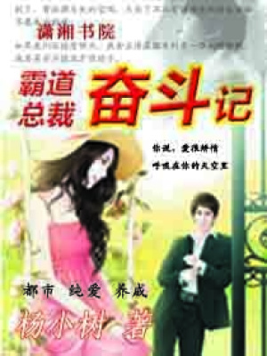 霸道總裁奮斗記