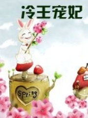 冷王寵妃