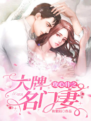 攻心計之大牌名門妻