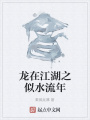 龍在江湖之似水流年