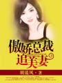 傲嬌總裁追美妻