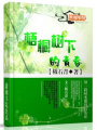 梧桐樹下的青春