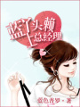 藍丫頭賴上總經理