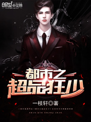 都市之超品狂少小说阅读，都市之超品狂少完整版
