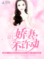 總裁老公極致寵：嬌妻，不許動