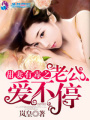 密愛之甜妻有毒