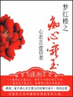 夢紅樓之癡心寵玉