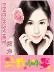 總裁小小妻