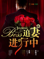 boss追妻進行中