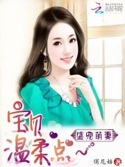 盛寵萌妻：寶貝，溫柔點