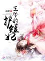王爺的護短妃