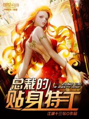 總裁的貼身特工