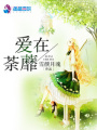愛在荼蘼