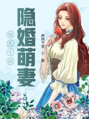 陸先生的隱婚萌妻