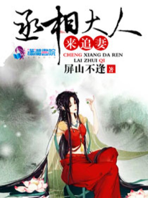 丞相大人來追妻
