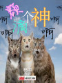 額滴個(gè)神啊