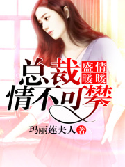 盛愛暖暖，總裁先生情不可攀