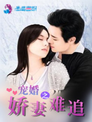 寵婚之嬌妻難追