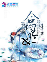 傻王的合約王妃
