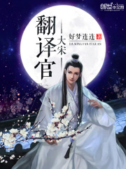 大宋翻譯官