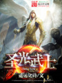 圣光武士