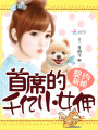 契約新娘：首席的千億小女傭