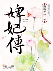 婢妃傳